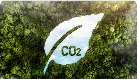 A Low Carbon Footprint and a Sustainability Commitment